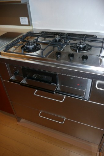 P1060670-e1741653227651